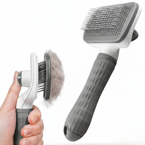 Brosse pour Chien - My animal shop