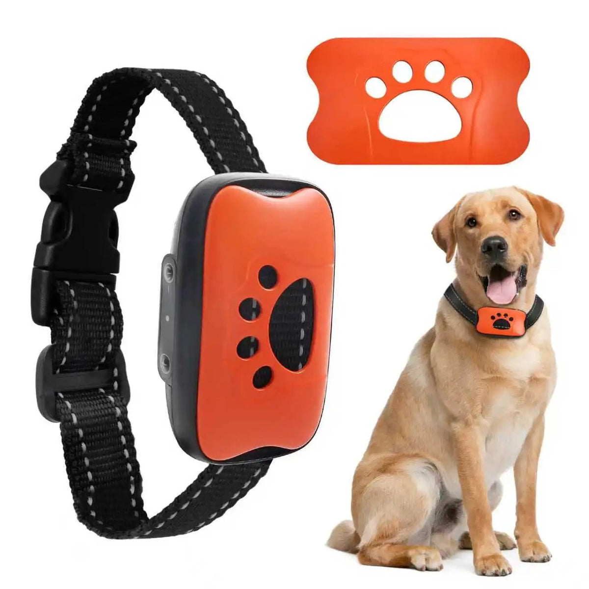 Collier Anti Aboiement pour Chien - My animal shop