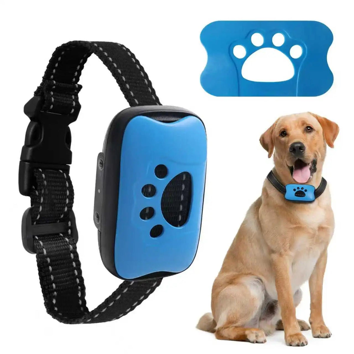 Collier Anti Aboiement pour Chien - My animal shop