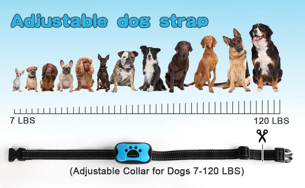 Collier Anti Aboiement pour Chien - My animal shop