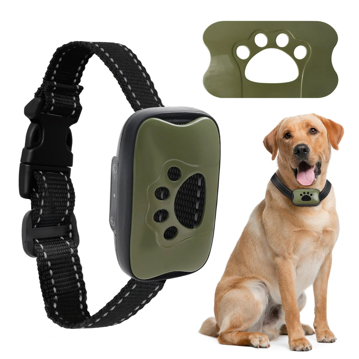 Collier Anti Aboiement pour Chien - My animal shop