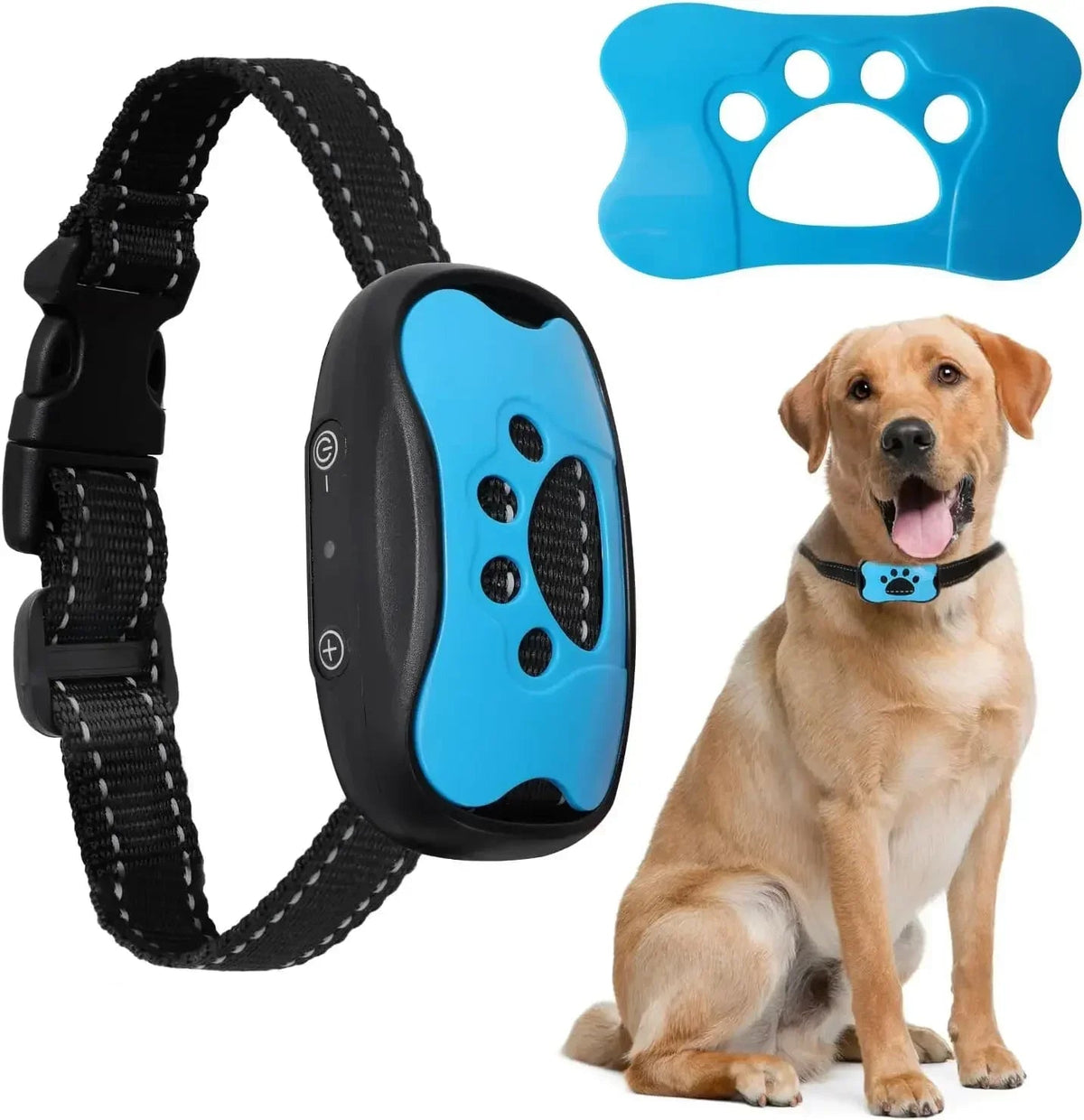 Collier Anti Aboiement pour Chien - My animal shop