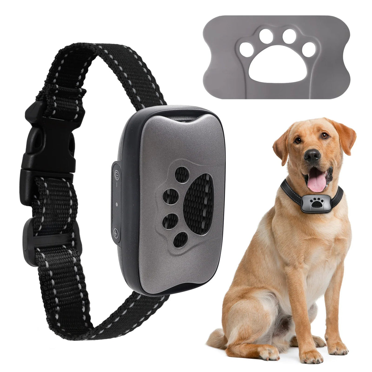 Collier Anti Aboiement pour Chien - My animal shop