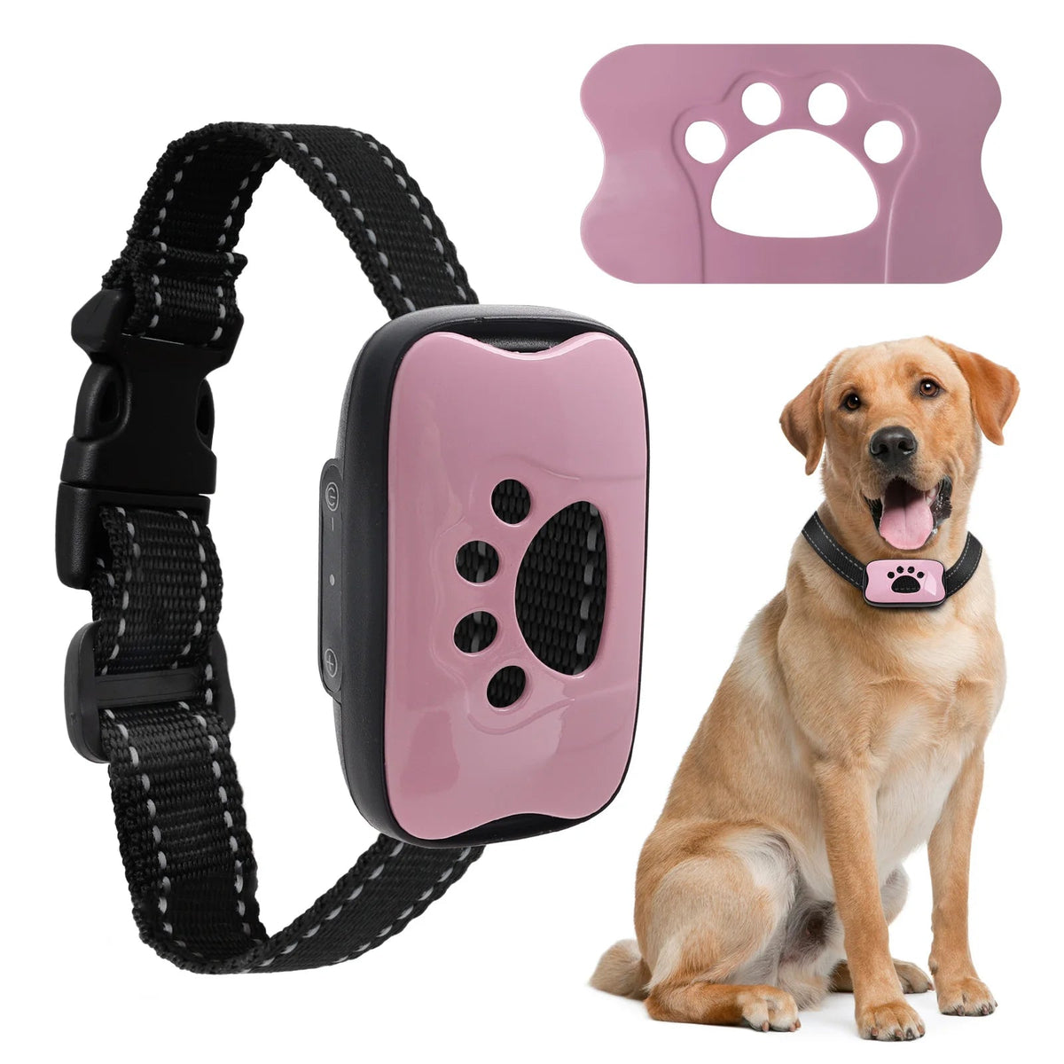 Collier Anti Aboiement pour Chien - My animal shop