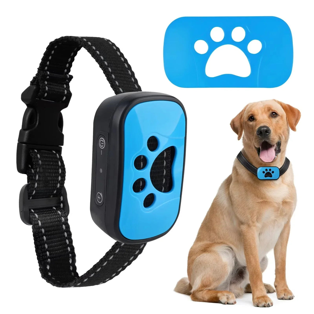 Collier Anti Aboiement pour Chien - My animal shop