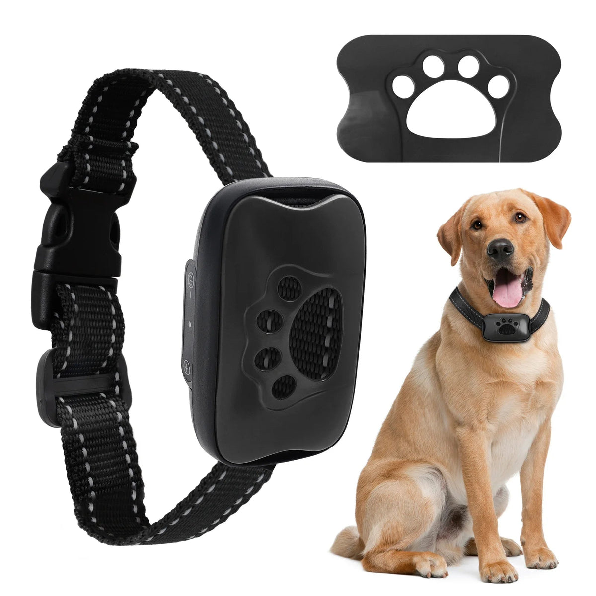 Collier Anti Aboiement pour Chien - My animal shop