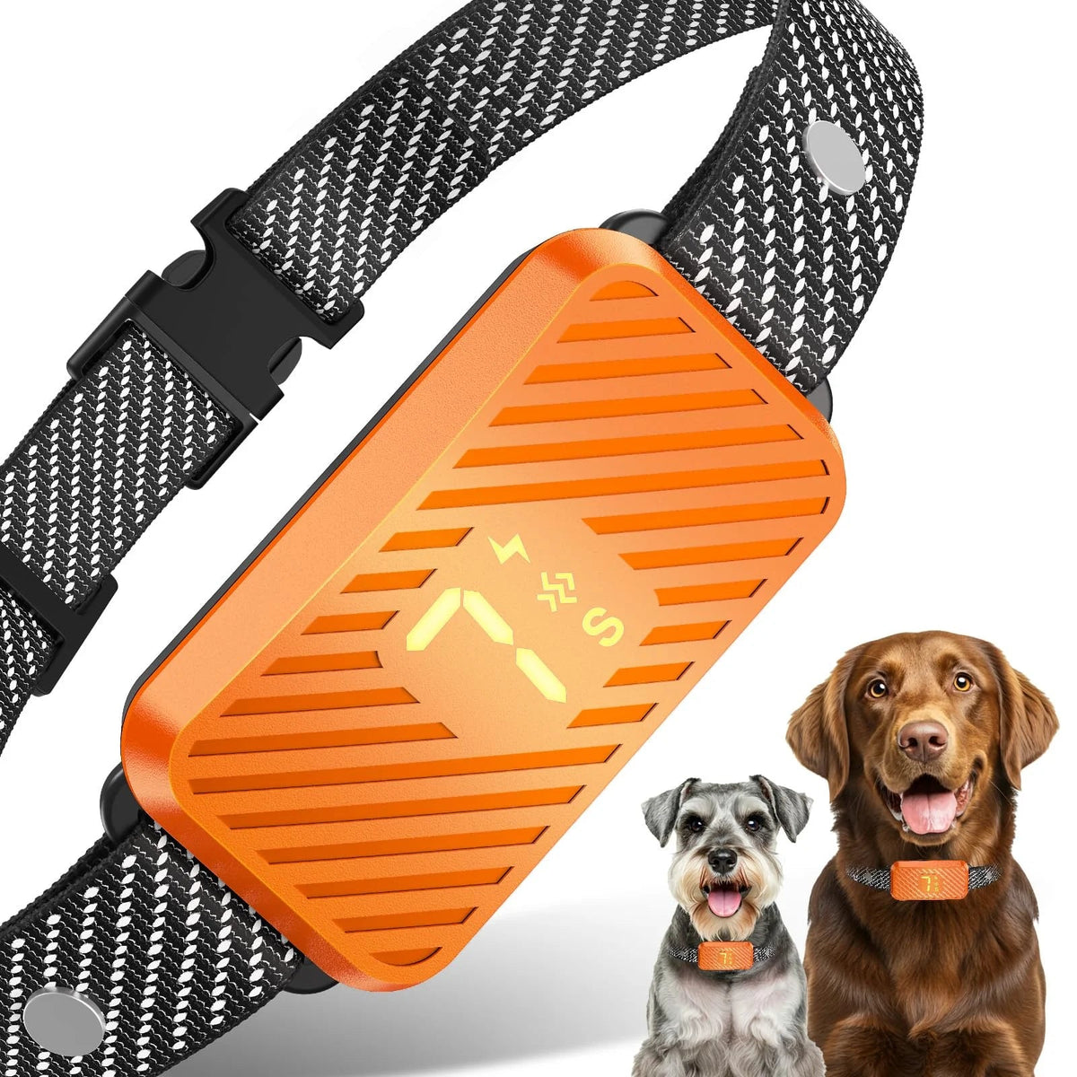 Collier Anti-Aboiement pour Chien - QuietSense - My animal shop