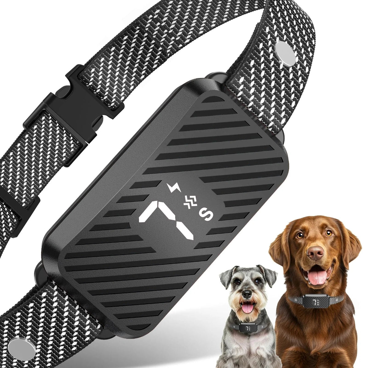 Collier Anti-Aboiement pour Chien - QuietSense - My animal shop