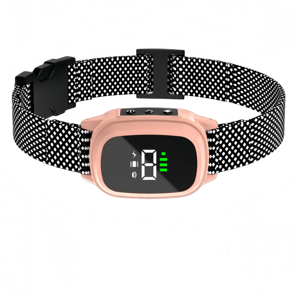 collier électrique de dressage pour chien - My animal shop