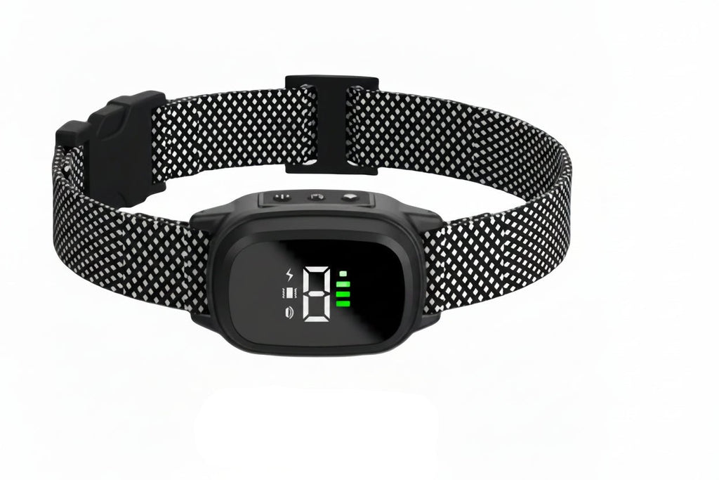 collier électrique de dressage pour chien - My animal shop