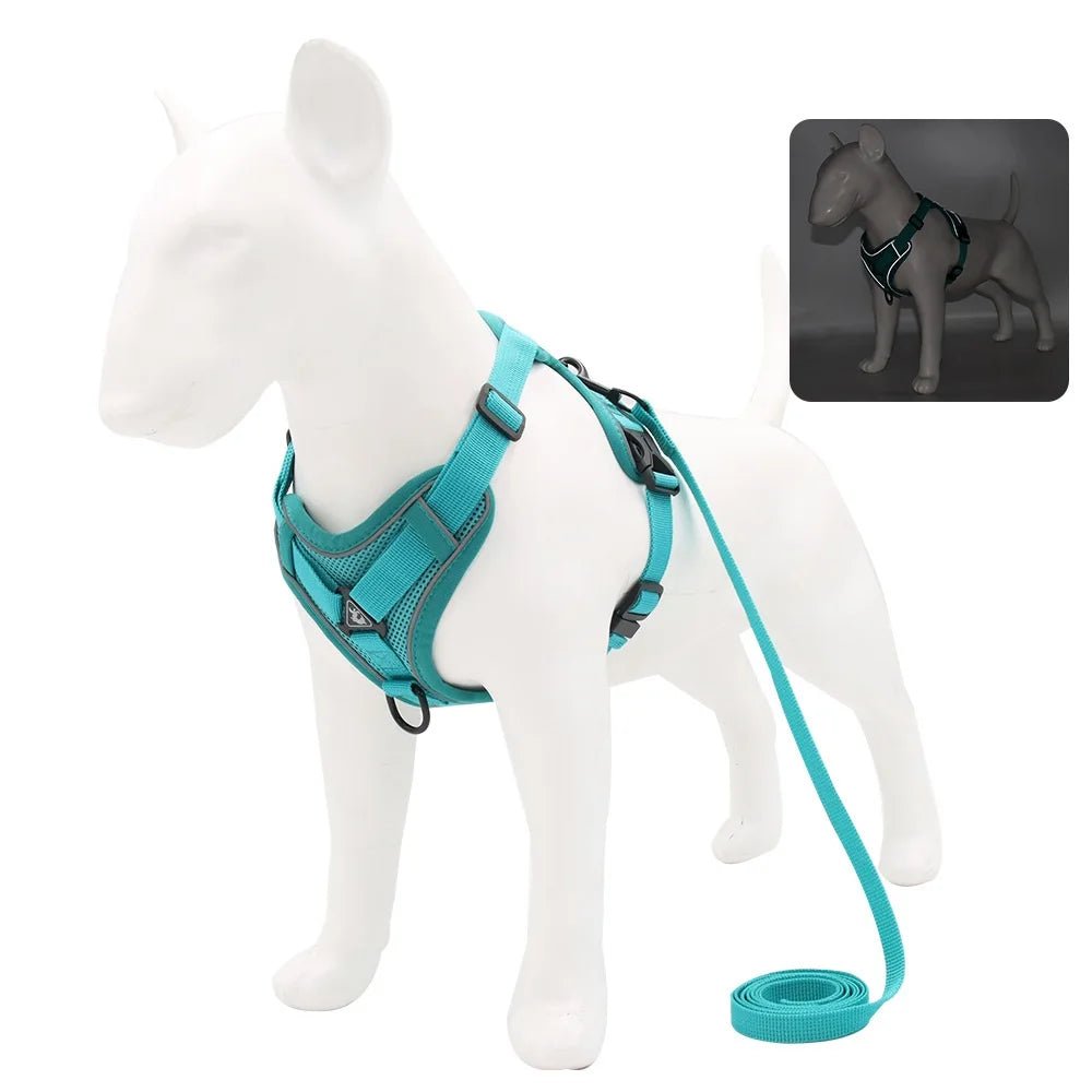 Harnais avec laisse pour chien - My animal shop
