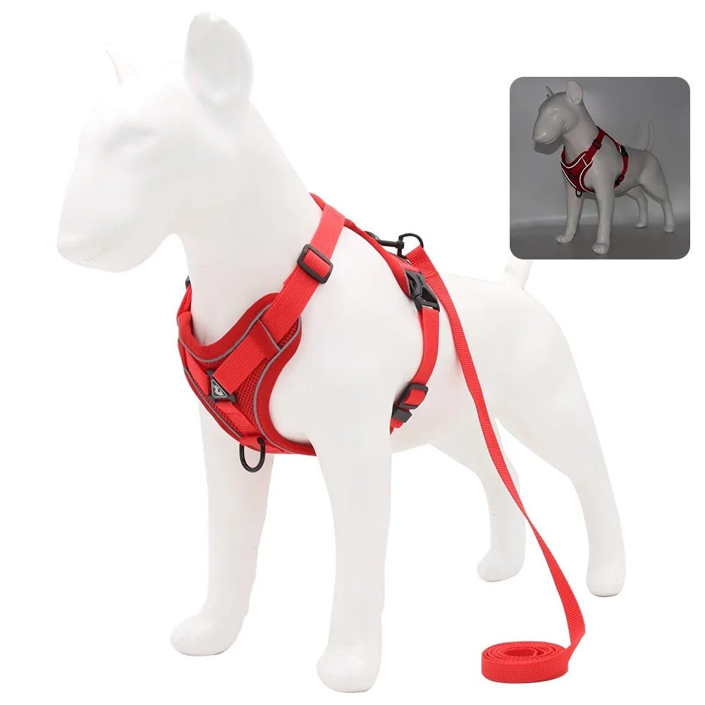 Harnais avec laisse pour chien - My animal shop