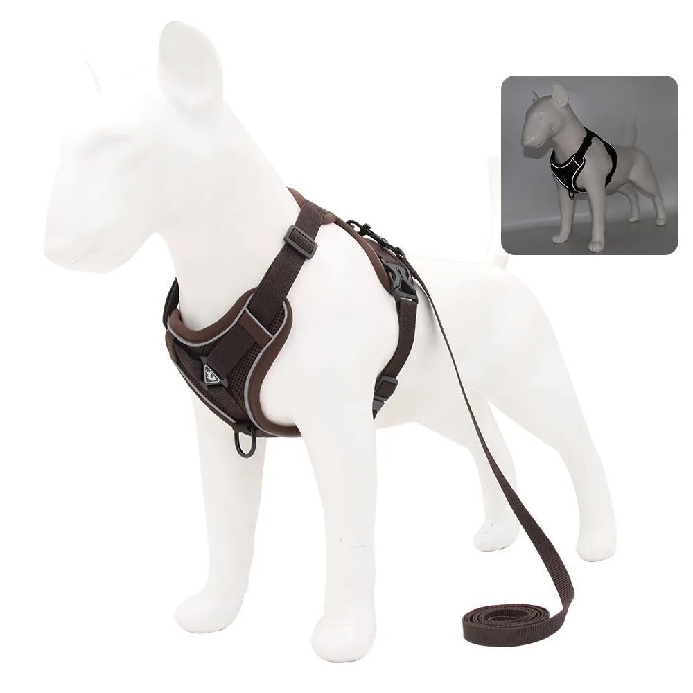 Harnais + Laisse Chien – LeashFit - My animal shop