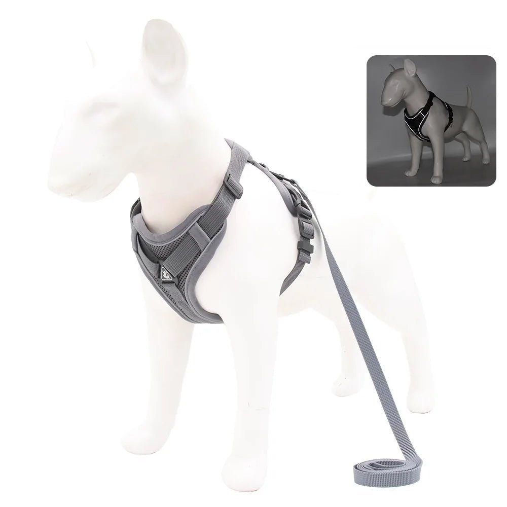 Harnais + Laisse Chien – LeashFit - My animal shop