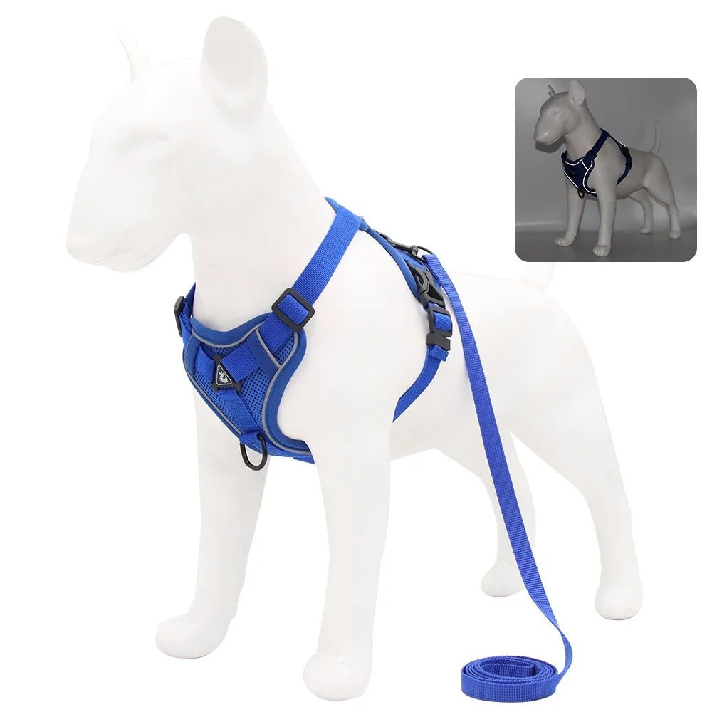 Harnais + Laisse Chien – LeashFit - My animal shop