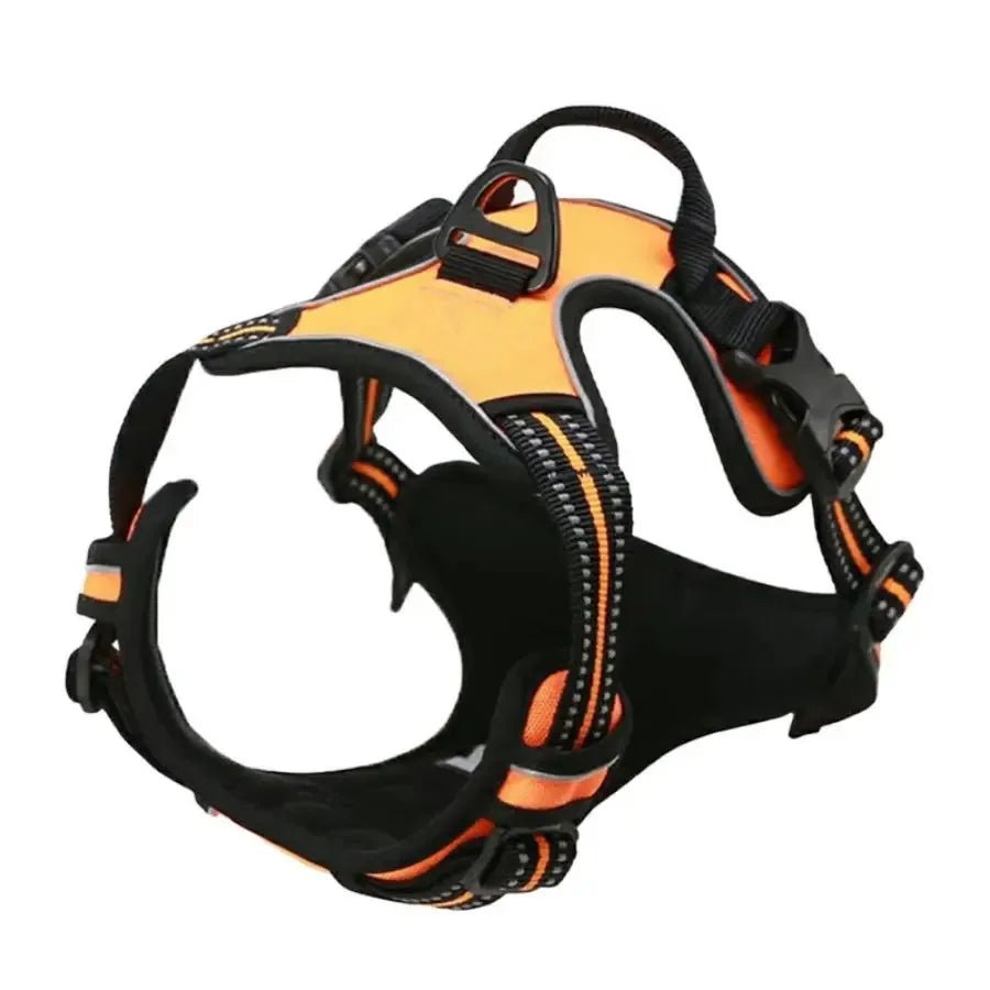 Harnais pour chien - My animal shop