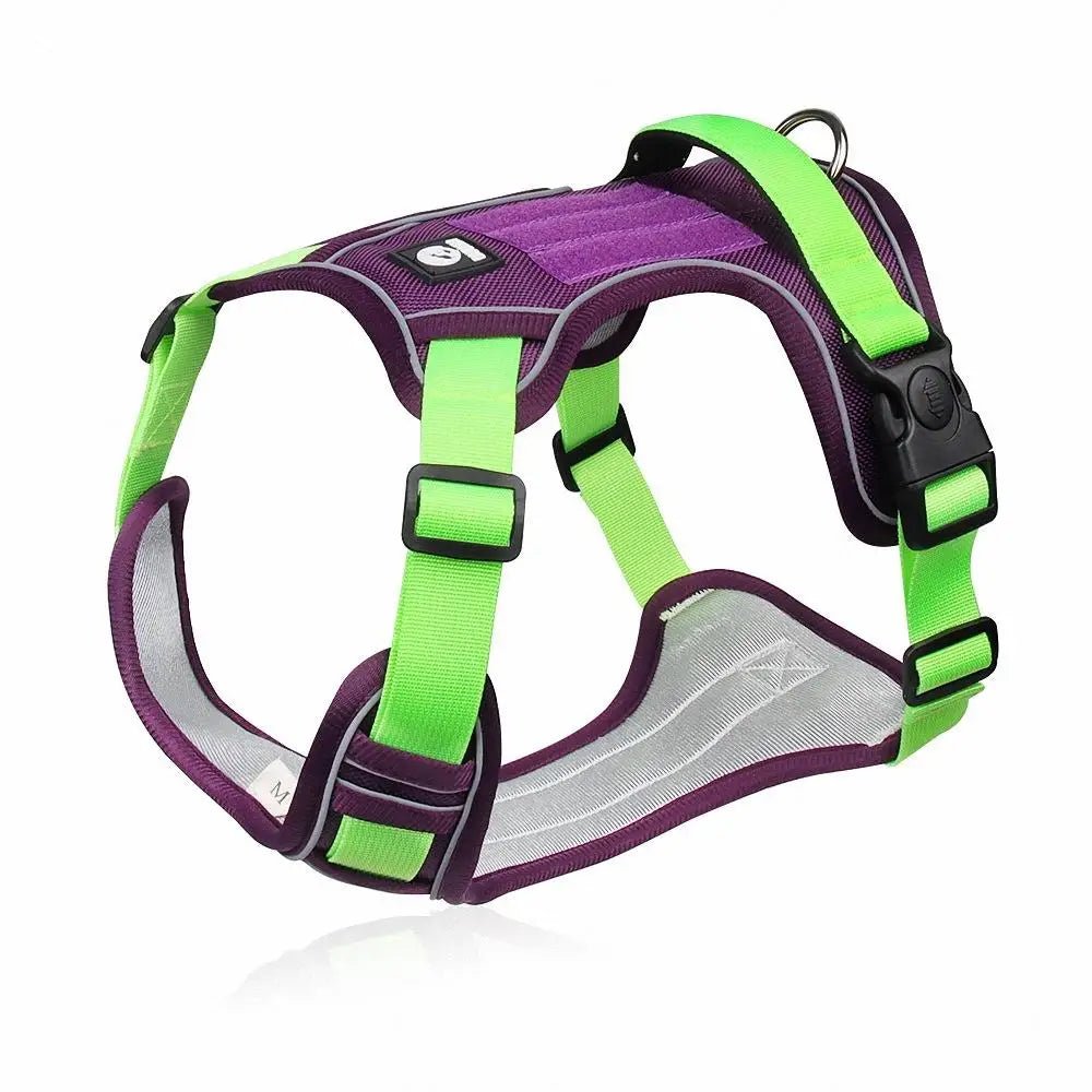 Harnais pour chien - My animal shop