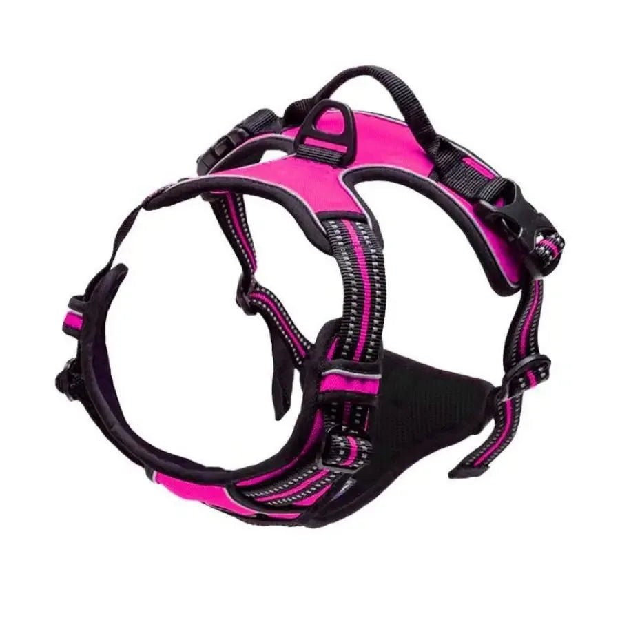Harnais pour chien - My animal shop