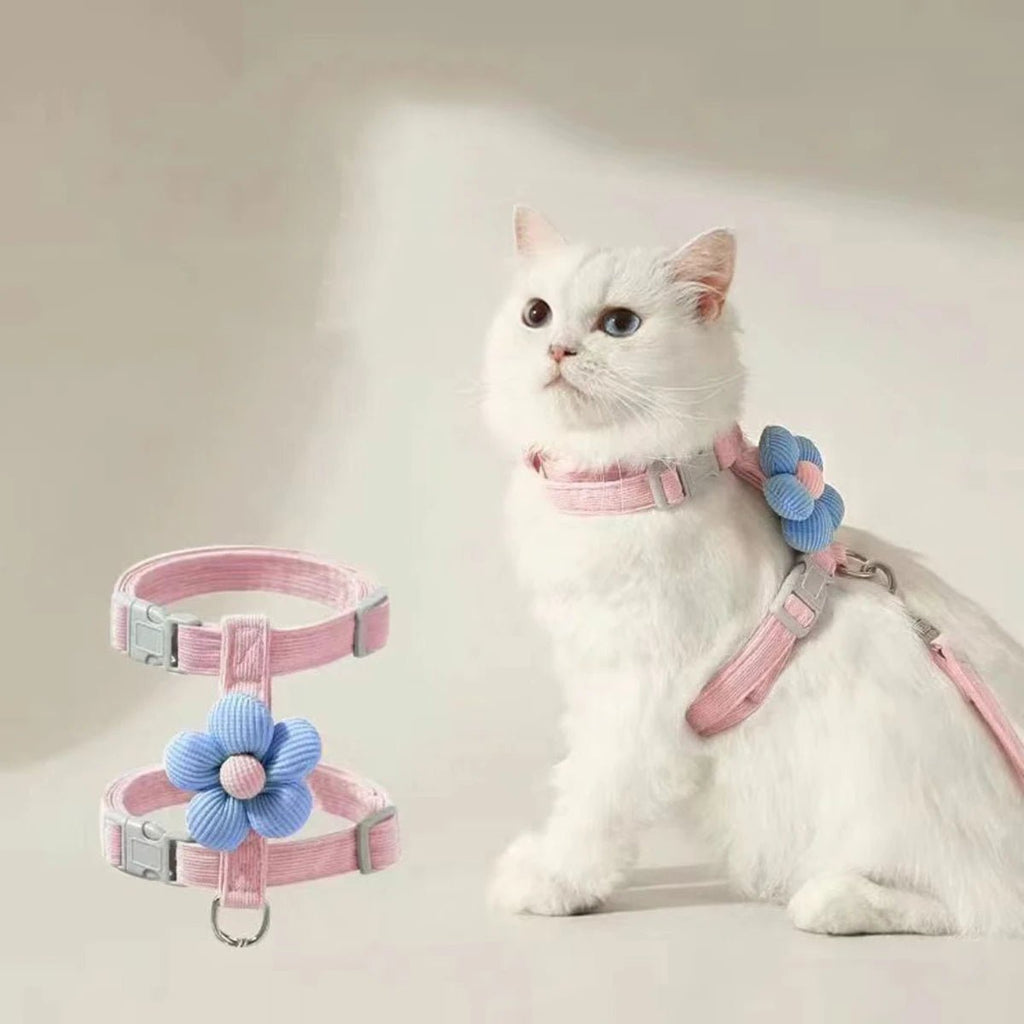 harnais pour chien - My animal shop