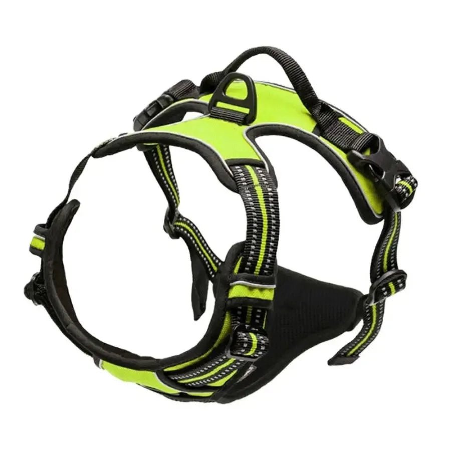 Harnais pour chien - My animal shop
