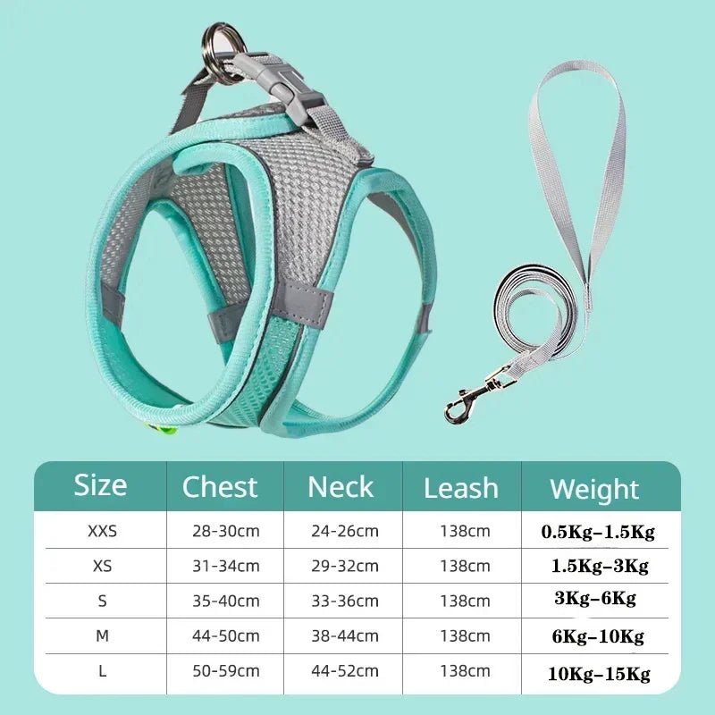 Harnais pour chien avec Laisse - My animal shop