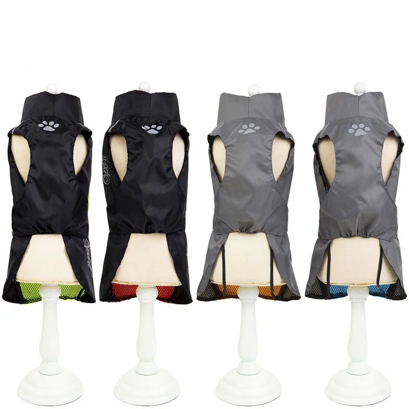 Imperméable pour Chien - RainPaw - My animal shop