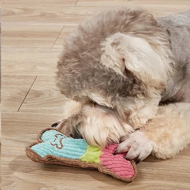 Jouets pour chien - My animal shop
