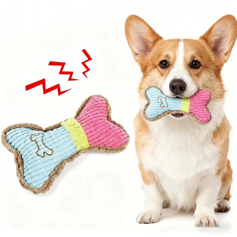 Jouets pour chien - My animal shop