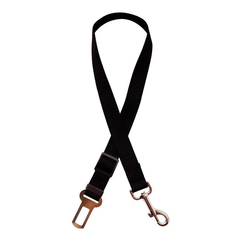 laisse rigide pour chien - My animal shop