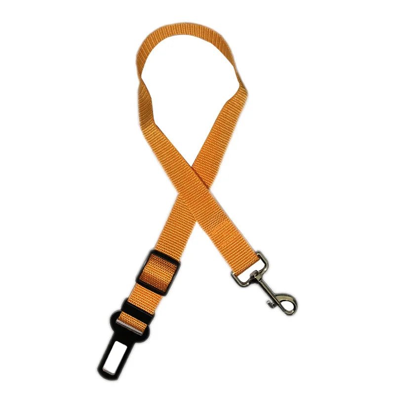 laisse rigide pour chien - My animal shop