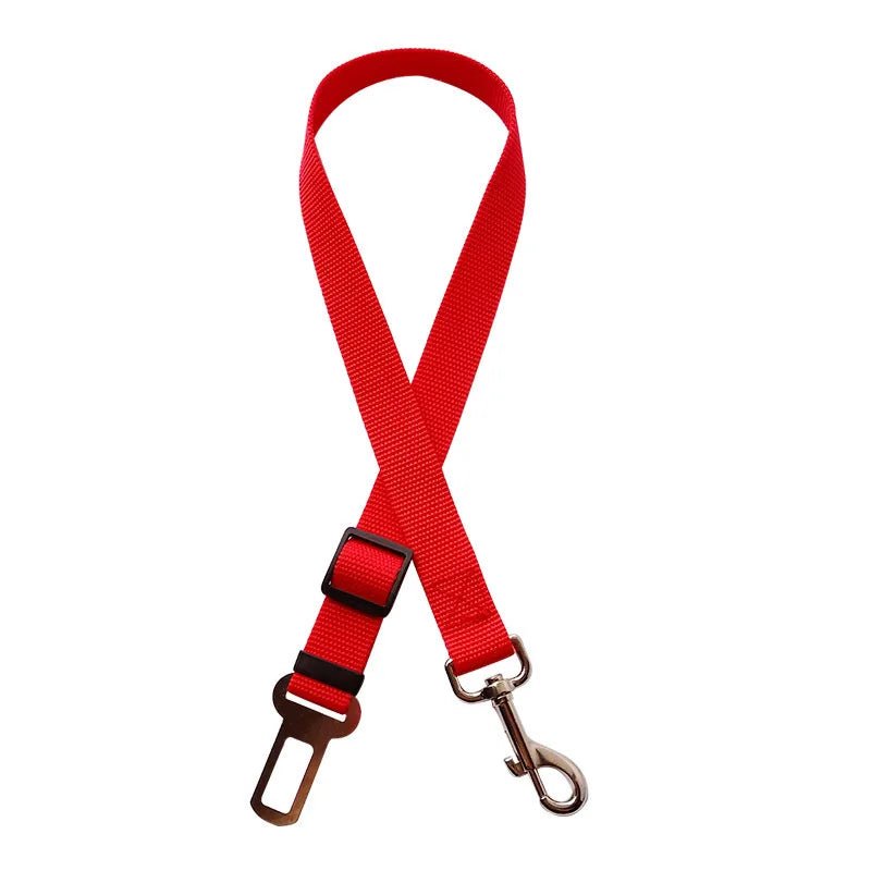 laisse rigide pour chien - My animal shop