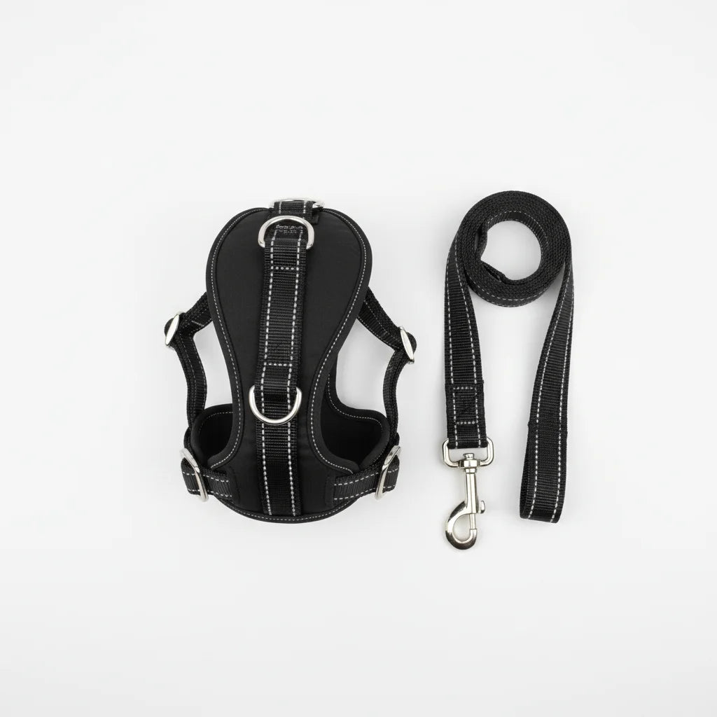 SafeWalk Pro — Harnais réfléchissant ajustable + laisse offerte - My animal shop