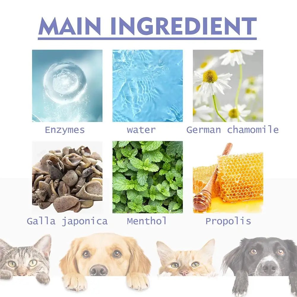 Soins dentaire pour chien - DentaPure Dog - My animal shop